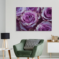 Schilderij - Paarse Rozen, Premium Print, 5 maten