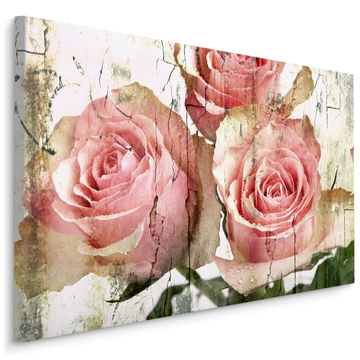 Schilderij - Prachtige Roze Rozen, Vintage afbeelding, Premium Print