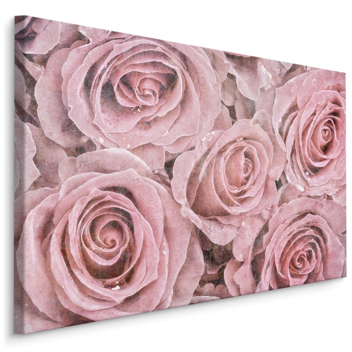 Schilderij - Roze Rozen, Vintage afbeelding, Premium Print op Canvas afbeelding