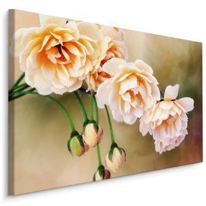 Schilderij - Bloeiende Rozen en knoppen, Roze, Premium Print