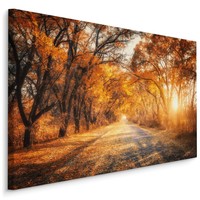 Schilderij - Weg door het Herfst Bos, Premium Print, 5 maten