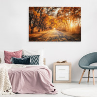 Schilderij - Weg door het Herfst Bos, Premium Print, 5 maten