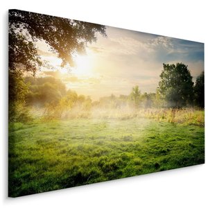 Schilderij - Mist in het Bos, 5 maten, Premium Print