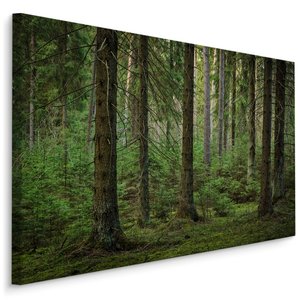 Schilderij - Het Bos, Groen, 5 maten, Premium Print