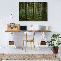 Schilderij - Het Bos, Groen, 5 maten, Premium Print