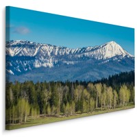 Schilderij - Grand Teton National Park, USA, Premium Print