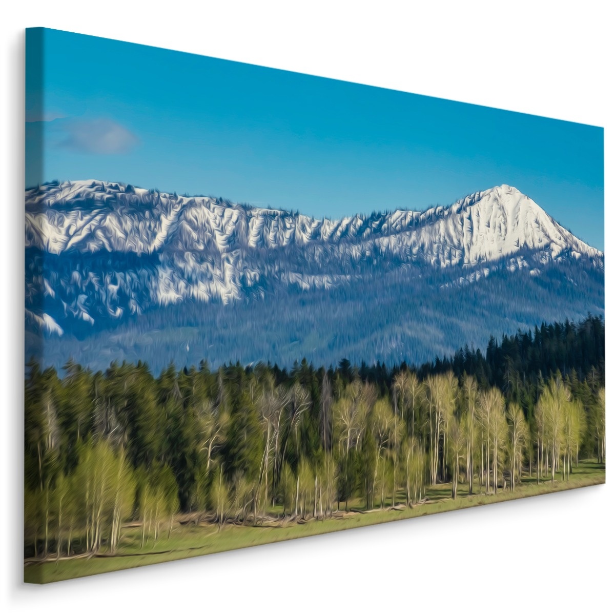 Schilderij - Grand Teton National Park, USA, Premium Print afbeelding
