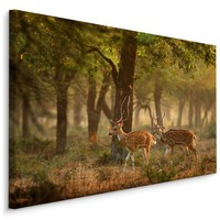 Schilderij - Jonge Hertjes in het Bos, Premium Print