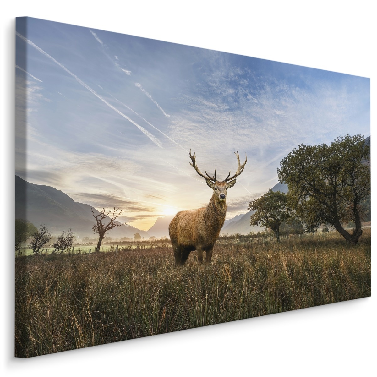 Schilderij - Hert in het Veld, Premium print, 5 maten afbeelding