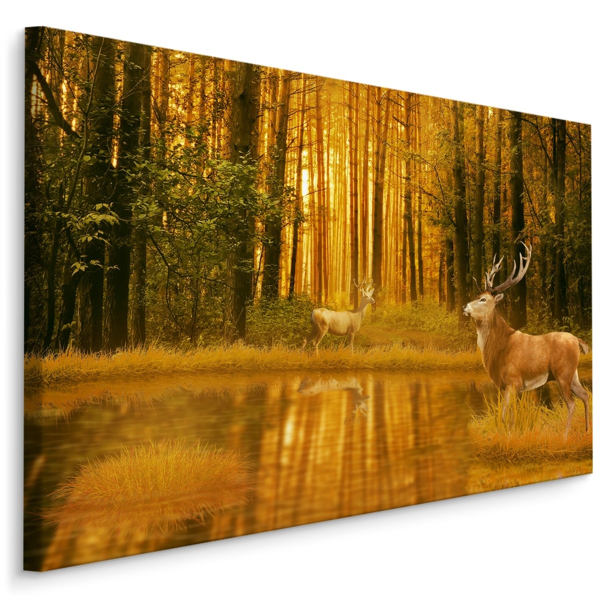 Schilderij - Herten bij een Meer in het Bos, premium Print afbeelding