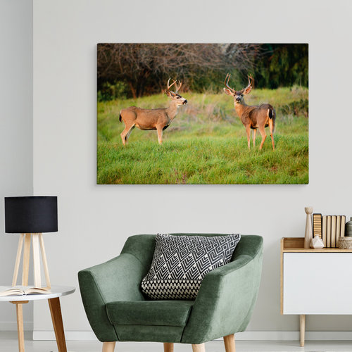 Schilderij - Twee Herten in het Veld, Premium Print