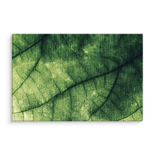 Schilderij - Textuur van een Blad, groen, premium Print