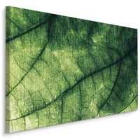 Schilderij - Textuur van een Blad, groen, premium Print