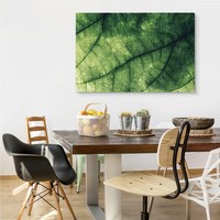 Schilderij - Textuur van een Blad, groen, premium Print