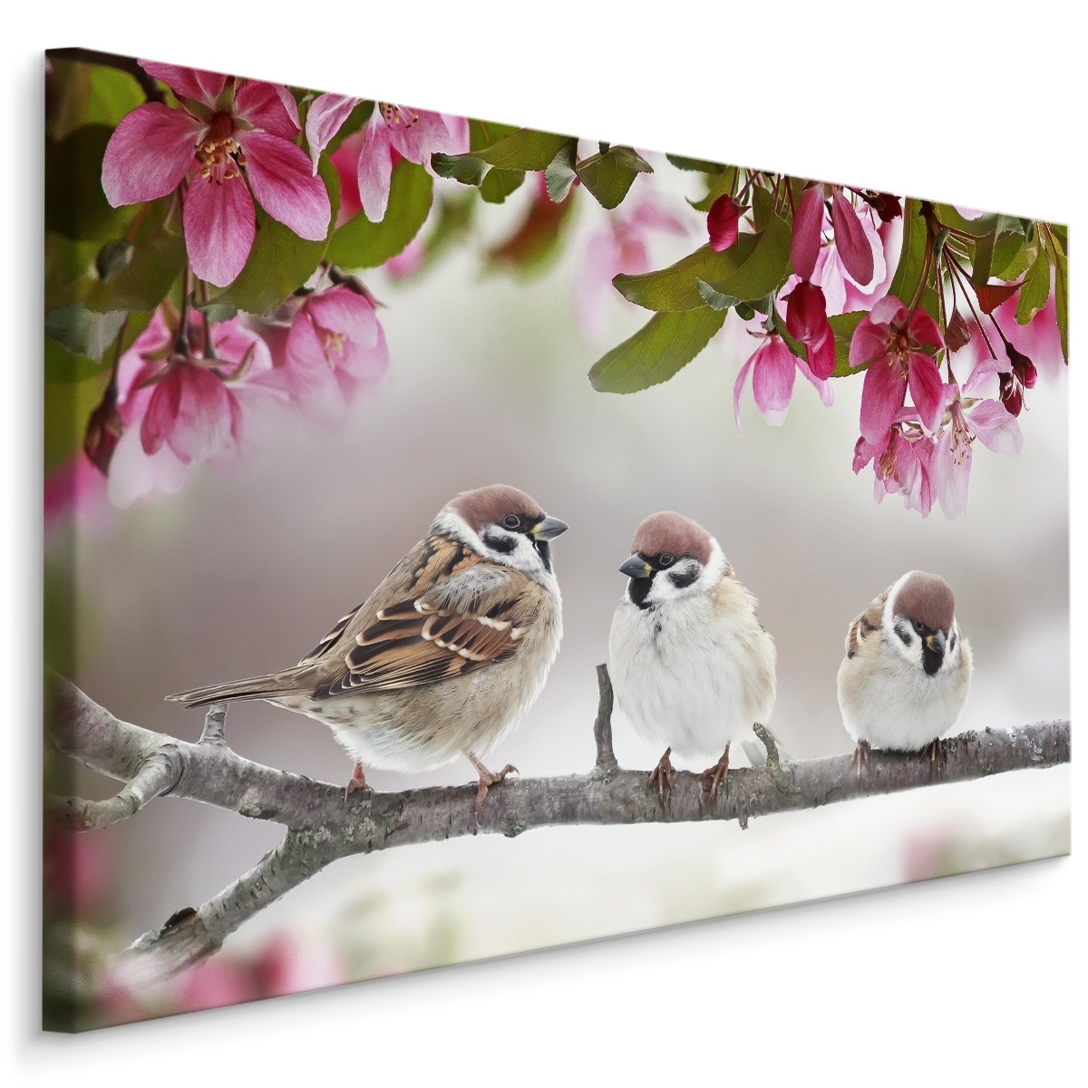 Schilderij - Mussen in de Boom, Premium Print afbeelding
