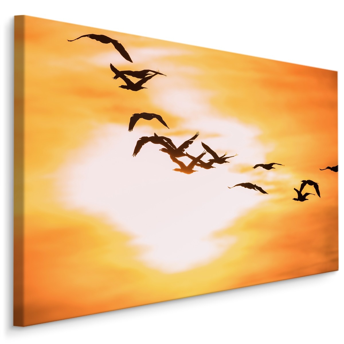 Schilderij - Aalscholvers bij zonsondergang, Premium Print afbeelding