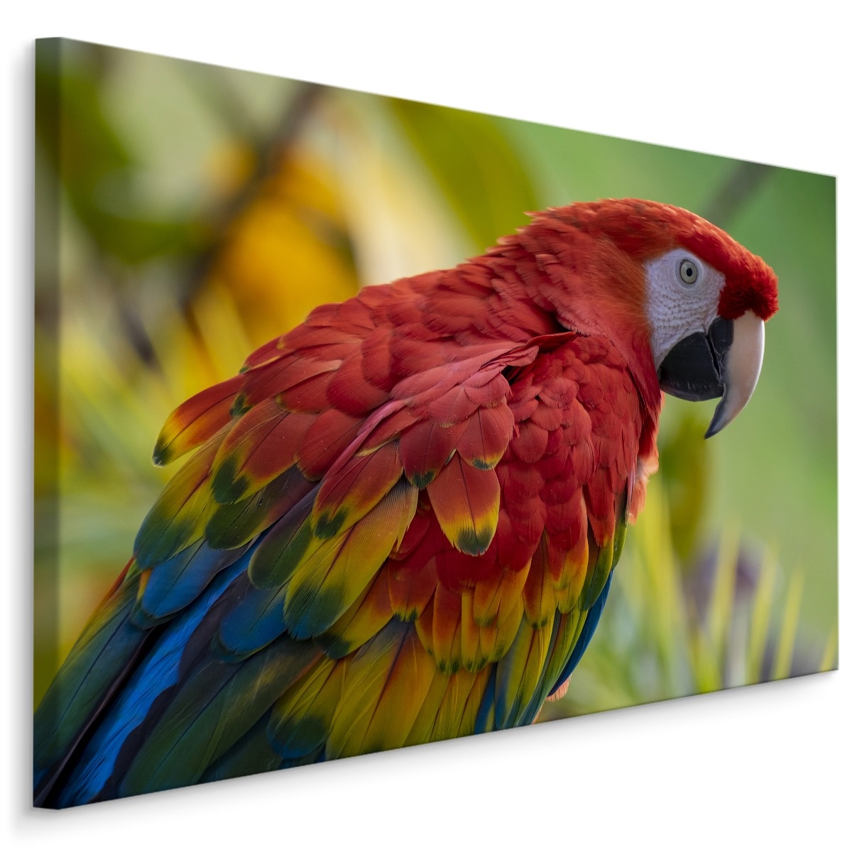 Schilderij - Kleurrijke Ara in de Natuur, Premium Print