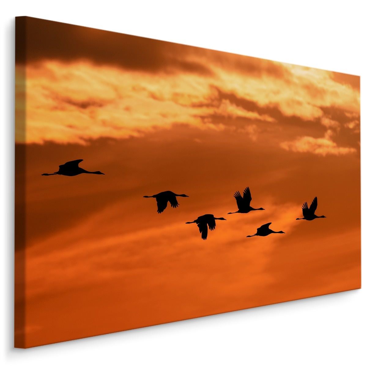 Schilderij - Kraanvogels bij Zonsondergang, Premium Print afbeelding
