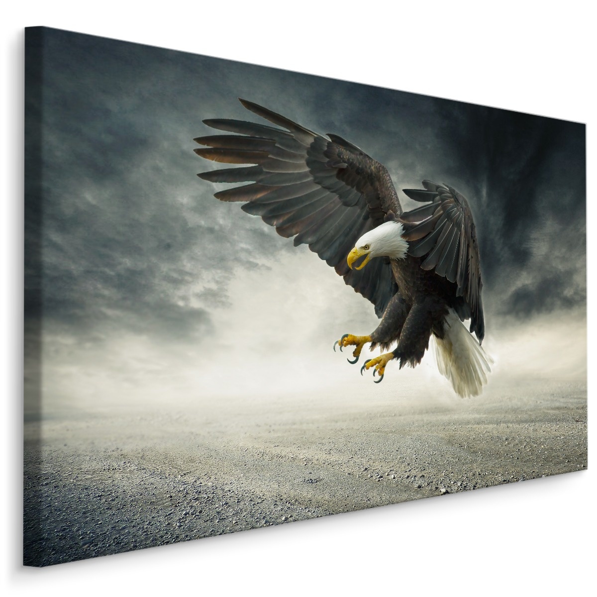 Schilderij - Adelaar in de Storm, Premium Print afbeelding