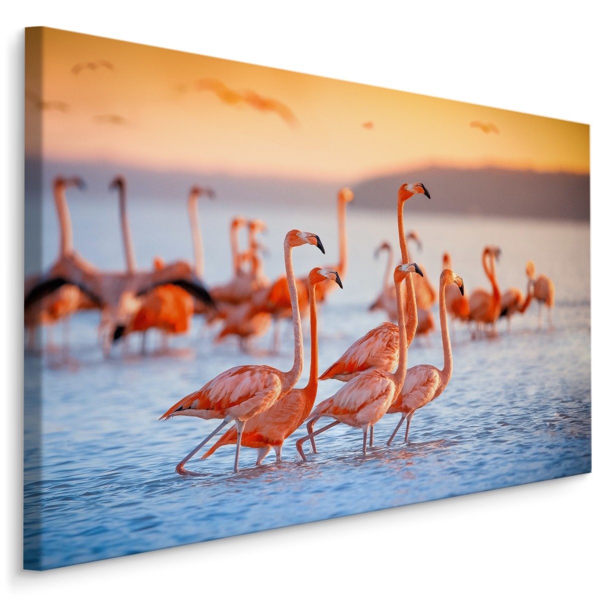 Schilderij - Flamingo&apos;s, Roze en blauw, premium Print afbeelding