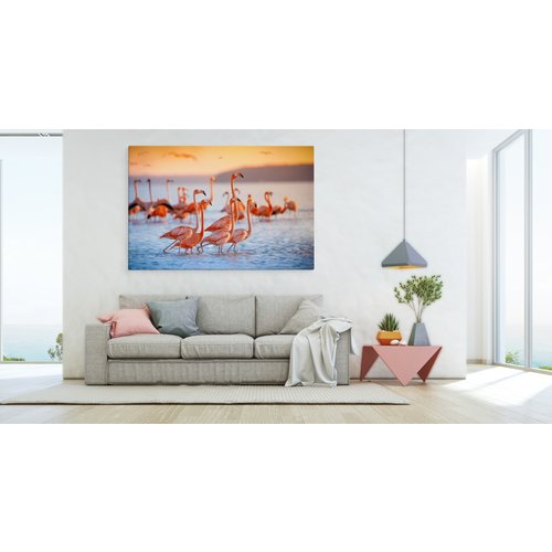 Schilderij - Flamingo's, Roze en blauw, premium Print