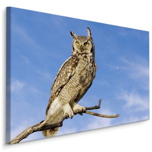 Schilderij - Op zoek naar zijn prooi, Premium Print Schilderij - Op zoek naar zijn prooi, Premium Print