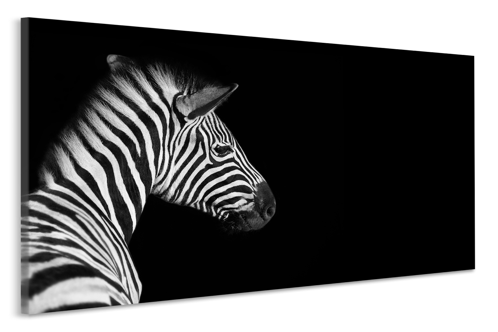 Schilderij - Zebra zwart/wit, 2 maten, premium print afbeelding