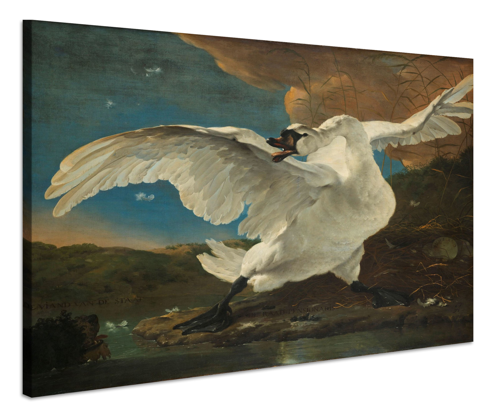Schilderij - Jan Asselijn, De bedreigde zwaan, ca.1650, 70x60cm. afbeelding