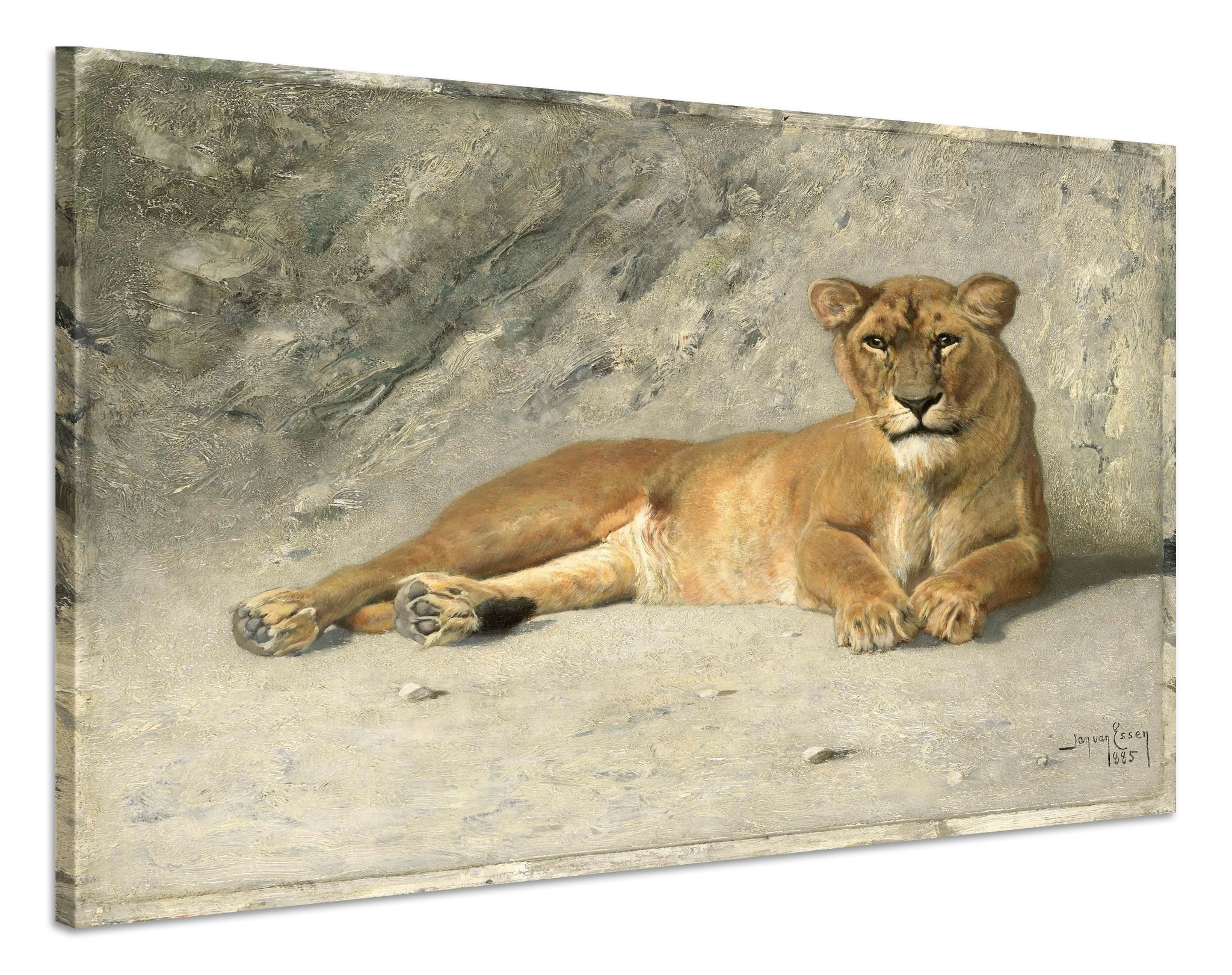 Schilderij - Jan van Essen, Rustende Leeuwin, 80x60cm. 1885 afbeelding