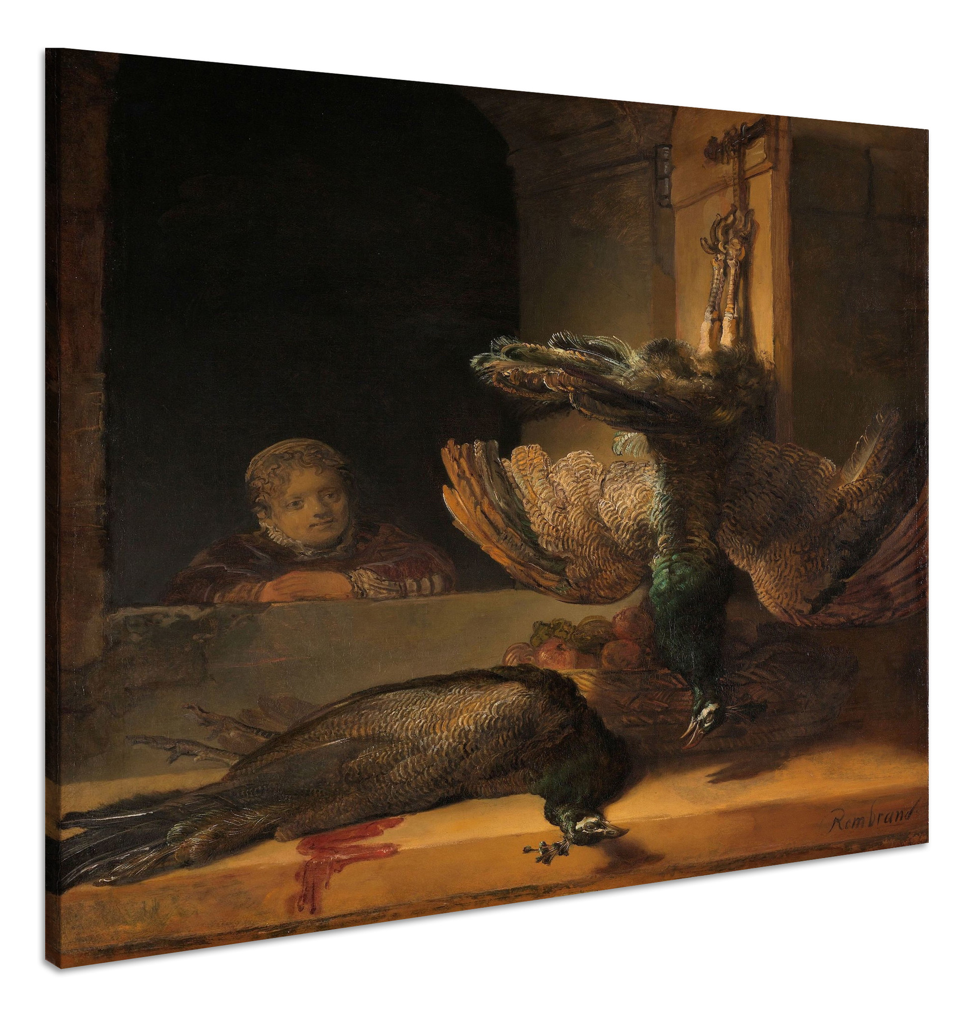 Schilderij - Rembrandt van Rijn, Stilleven met pauwen, ca1639, 90x90cm. afbeelding