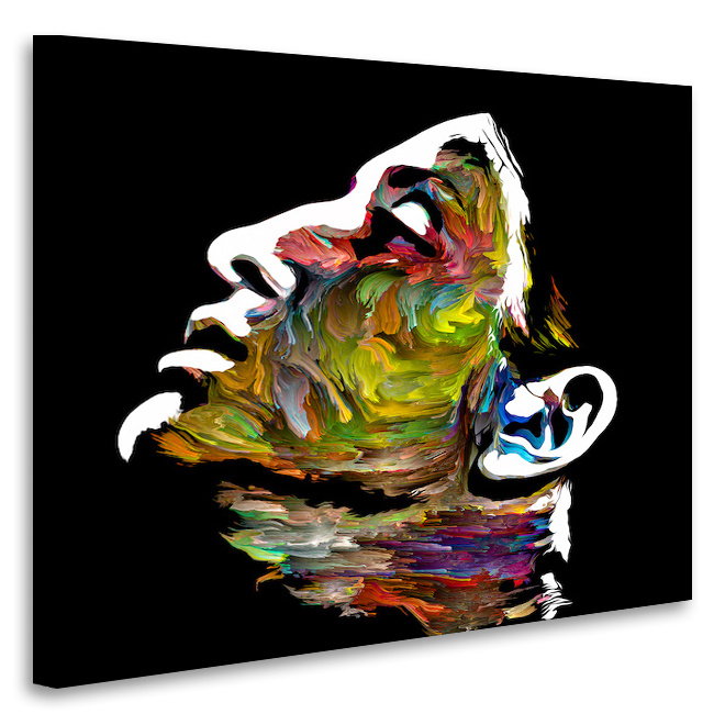 Schilderij - Kleurenportret van jonge dame, 3 maten, premium print, wanddecoratie afbeelding