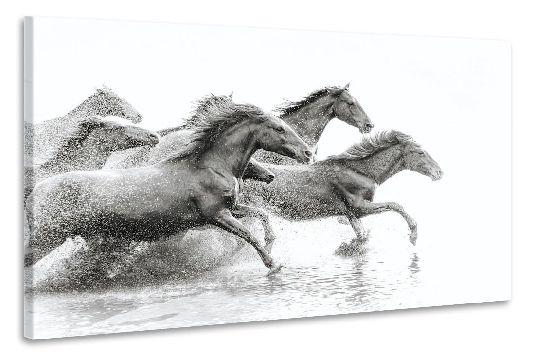 Schilderij - Wilde paarden, 2 maten, Premium print afbeelding