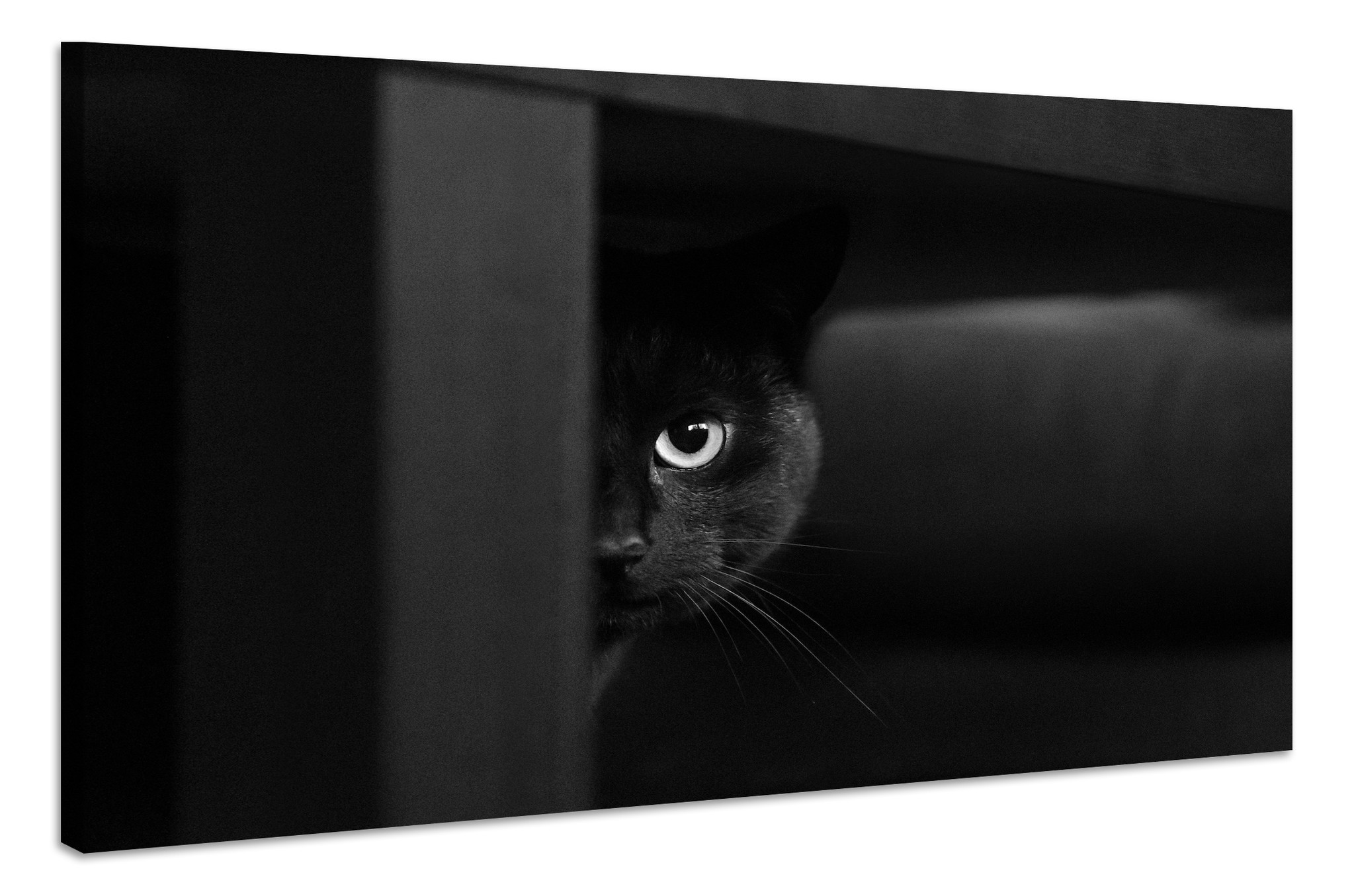 Schilderij - Geheimzinnige Kat, zwart/wit, Wanddecoratie, Premium Print afbeelding