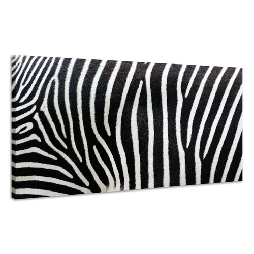Karo-art Schilderij - Zebra Strepen, zwart/wit, Premium print