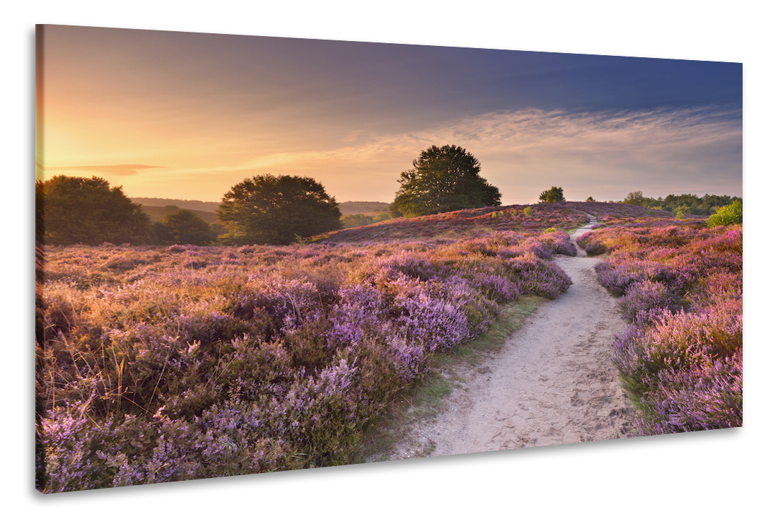 Schilderij - Zonsondergang in duinen, 2 maten, Premium print afbeelding