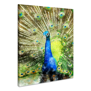 Karo-art Schilderij - Pauw (print op canvas),  2 maten, Premium print