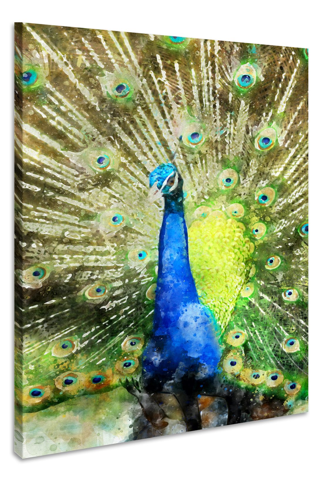 Schilderij - Pauw (print op canvas), 2 maten, Premium print afbeelding