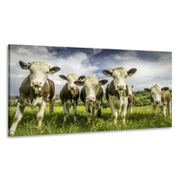 Karo-art Schilderij - Koeien op een rij, 100x50, Premium print