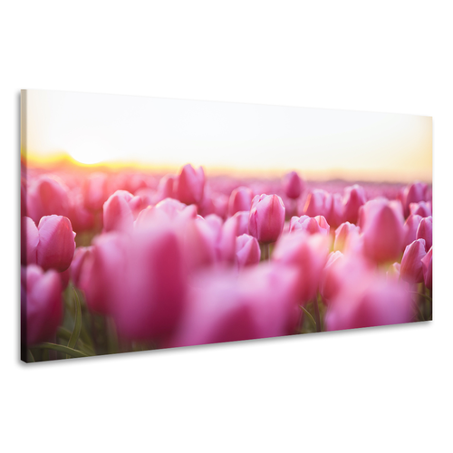 Karo-art Schilderij - Roze tulpen,  2 maten, Premium print