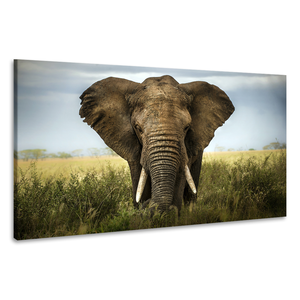 Karo-art Schilderij - Olifant close-up,  2 maten, Premium print