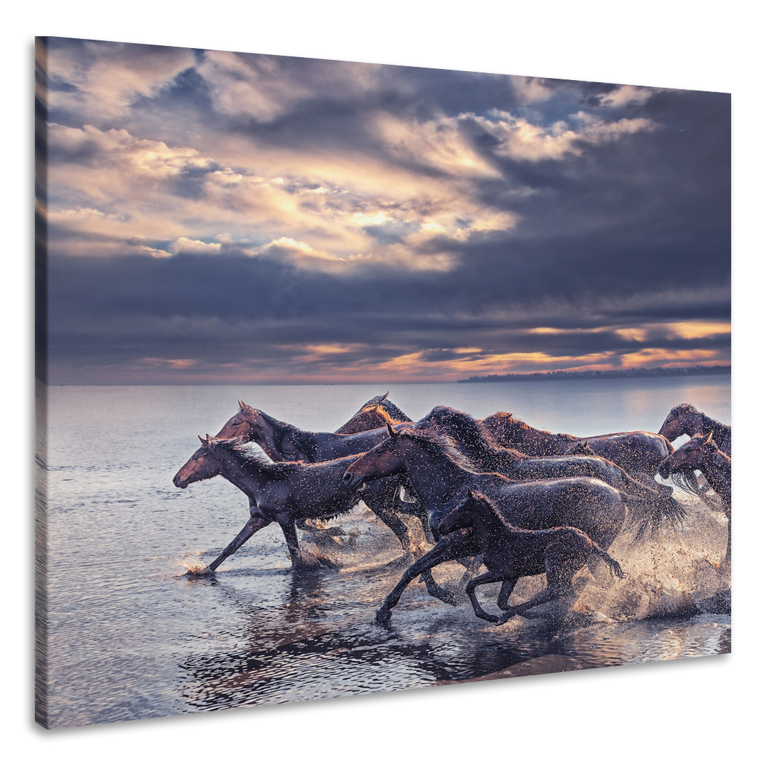 Schilderij - Wilde paarden , premium print, 3 maten afbeelding