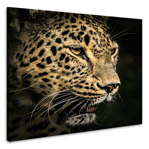 Karo-art Schilderij - Luipaard, 3 maten, premium print, wanddecoratie