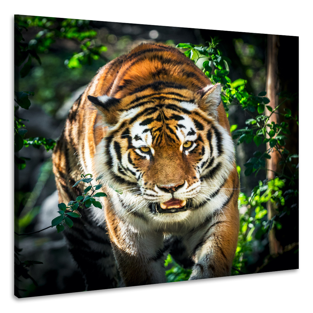 Schilderij - Tijger in vol ornaat, 3 maten, wanddecoratie, premium print afbeelding