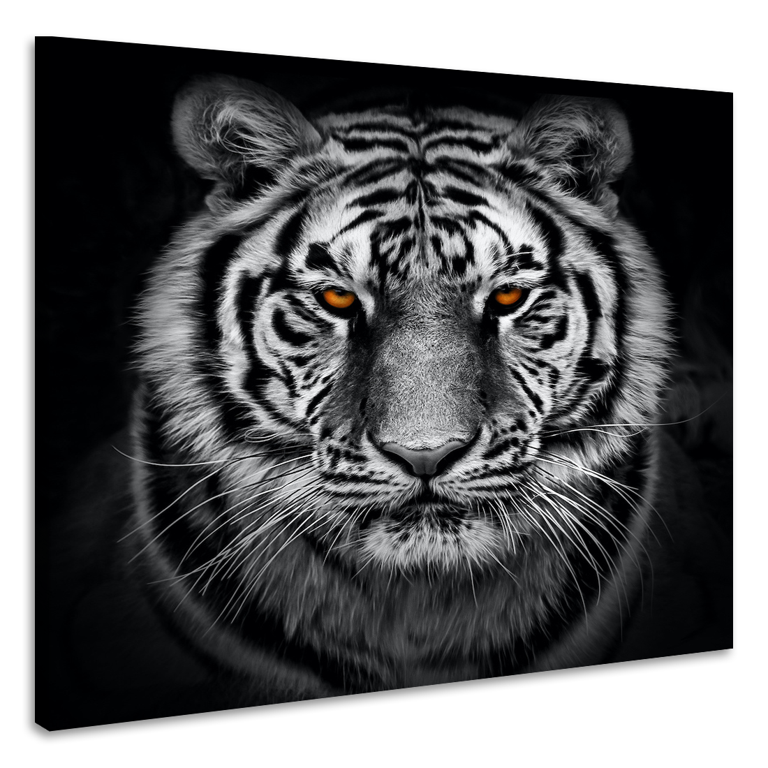 Schilderij - Tijger in zwart en wit met oranje ogen, premium print, 3 maten afbeelding