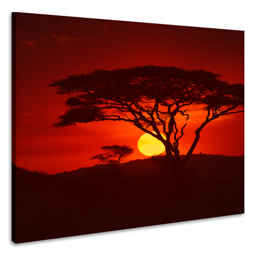 Karo-art Schilderij - Zonsondergang in Afrika, premium print, 3 maten