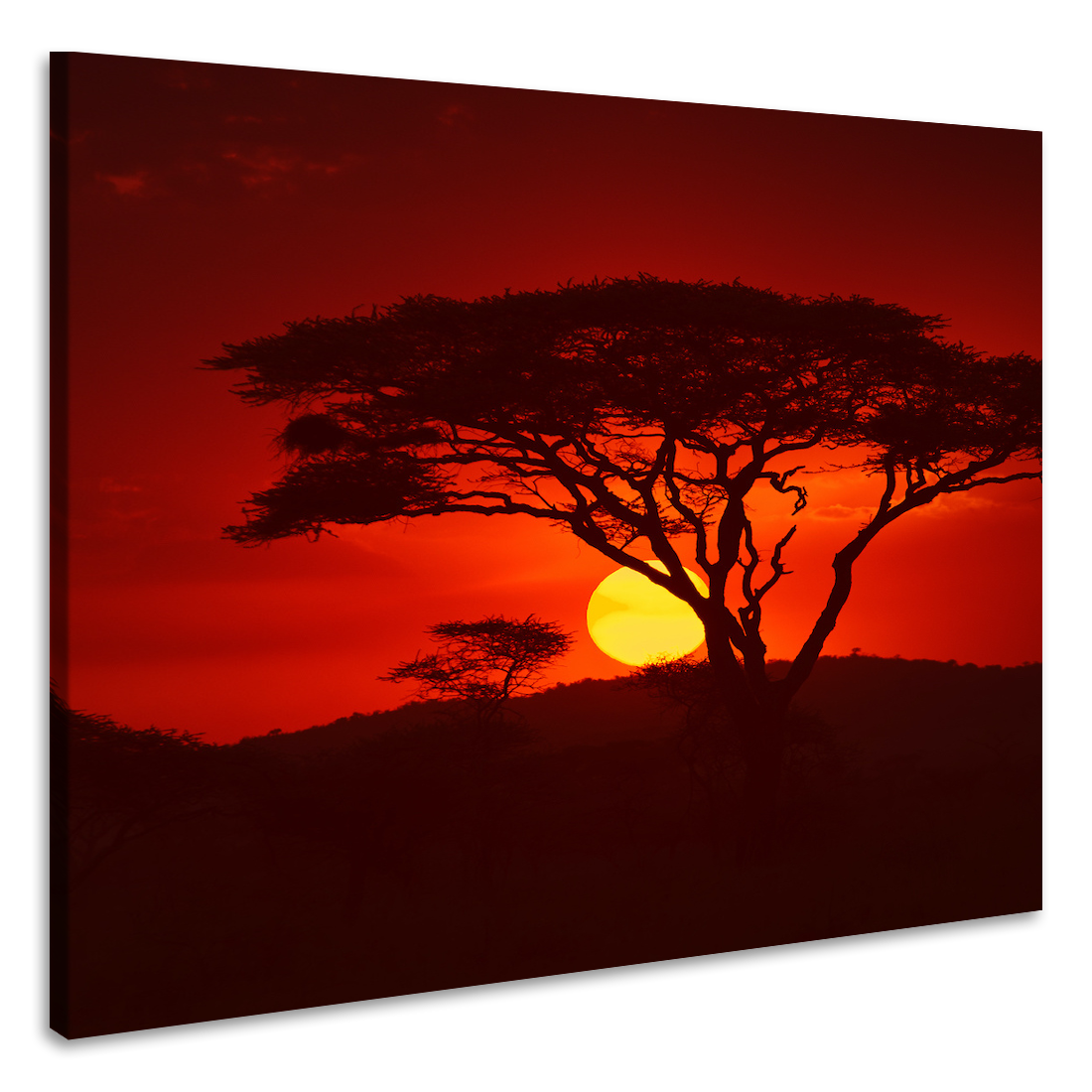 Schilderij - Zonsondergang in Afrika, premium print, 3 maten afbeelding