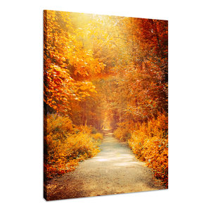 Karo-art Schilderij - Herfstpad door het Bos, Premium Print, Wanddecoratie