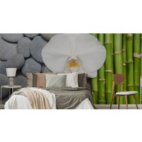 Fotobehang - Bamboe, Orchidee en stenen, Spa, Inspiratie, in 11 maten, inclusief behanglijm