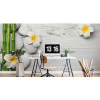 Fotobehang - Witte Planken met stenen en Bloemen, Spa, in 11 maten, inclusief behanglijm