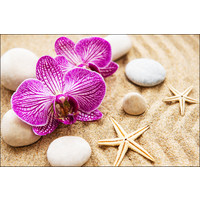 Fotobehang - Orchidee op het strand, Spa, inspiratie, zeester, in 11 maten te koop, incl behanglijm